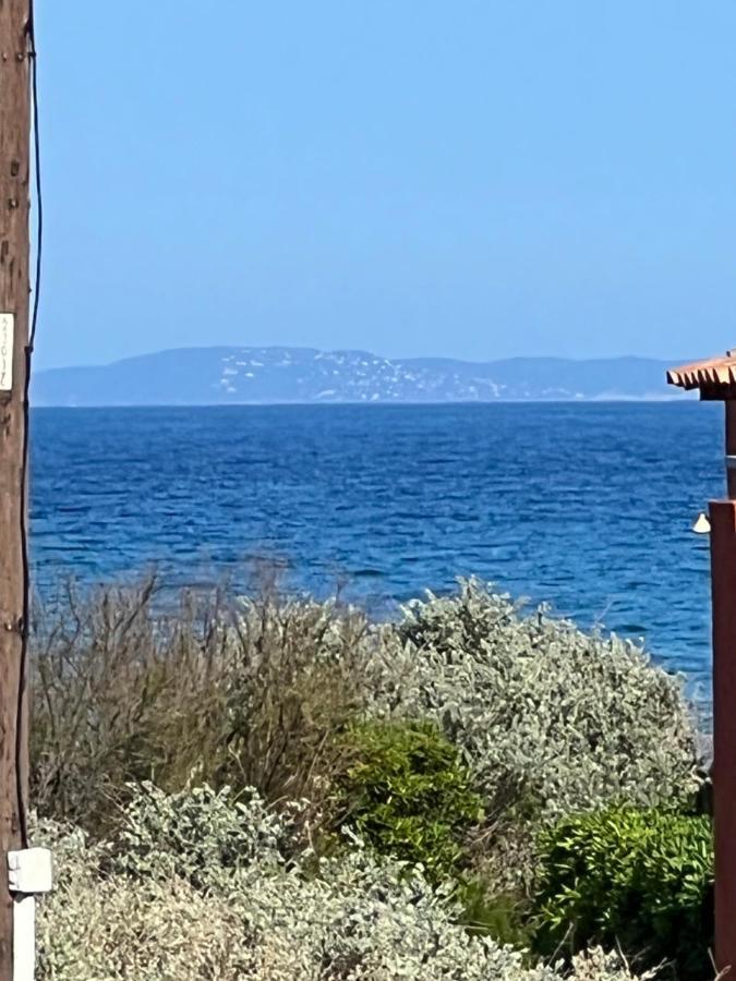 Hyères Plein Sud, Bel Appartement 20 Metres De La Plage La Capte المظهر الخارجي الصورة